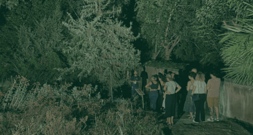 Bella di Notte, Visita serale guidata all'Orto Botanico di Catania | Officine Culturali