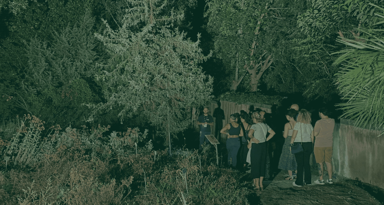 Bella di Notte, Visita serale guidata all'Orto Botanico di Catania | Officine Culturali