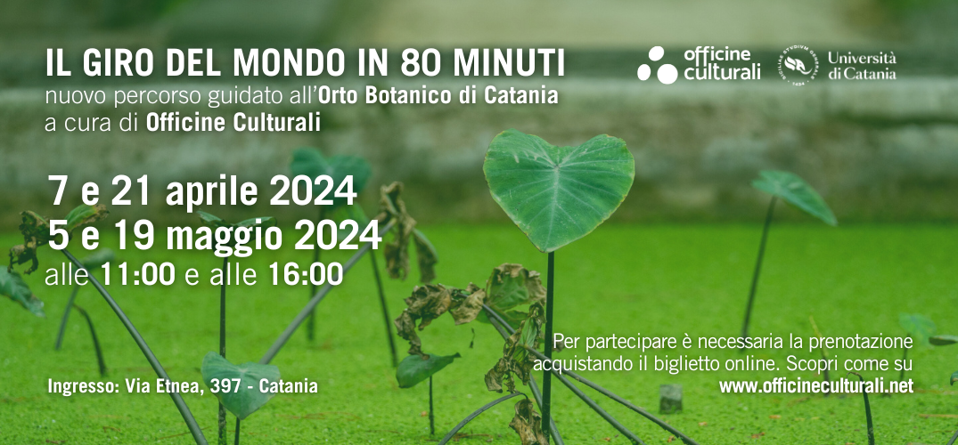 Il giro del mondo in 80 minuti