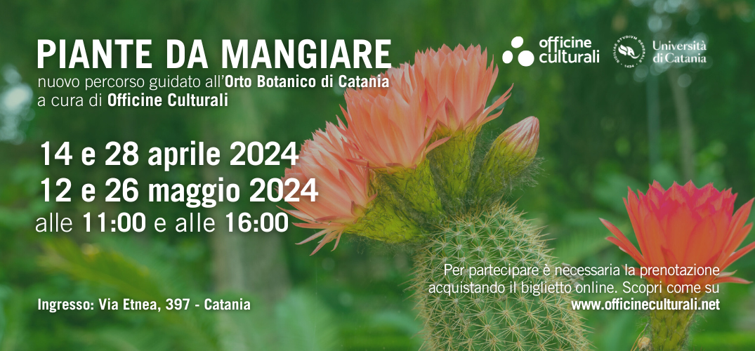 Piante da mangiare