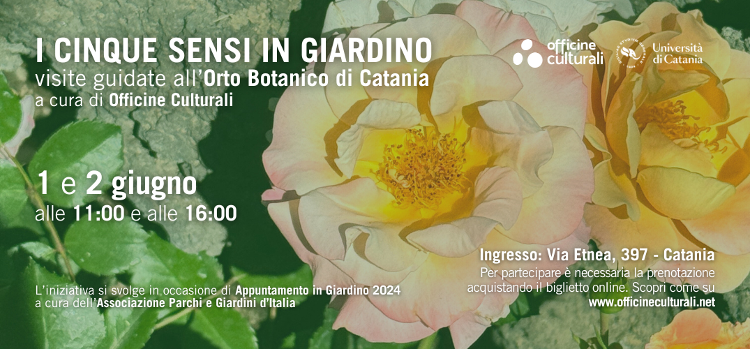 I cinque sensi in giardino